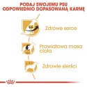 ROYAL CANIN BHN Cavalier King Charles Spaniel Adult - sucha karma dla psa dorosłego - 1,5kg