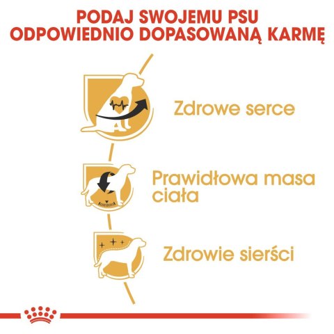 ROYAL CANIN BHN Cavalier King Charles Spaniel Adult - sucha karma dla psa dorosłego - 1,5kg ROYAL CANIN BHN Cavalier King Charles Spaniel Adult - sucha karma dla psa dorosłego - 1,5kg