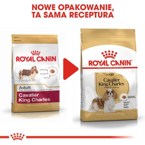 ROYAL CANIN BHN Cavalier King Charles Spaniel Adult - sucha karma dla psa dorosłego - 1,5kg ROYAL CANIN BHN Cavalier King Charles Spaniel Adult - sucha karma dla psa dorosłego - 1,5kg