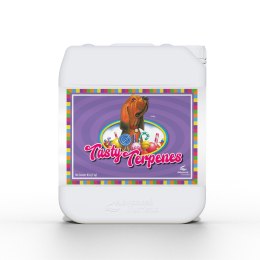 ADVANCED NUTRIENTS TASTY TERPENS 5L