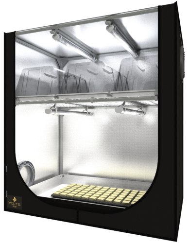 SECRET JARDIN DARK PROPAGATOR 90*60*H98 SECRET JARDIN DARK PROPAGATOR 90*60*H98