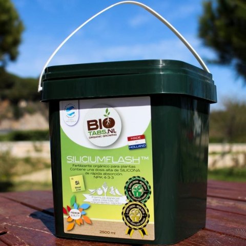 BIOTABS SILICIUM FLASH 9L BIOTABS SILICIUM FLASH 9L