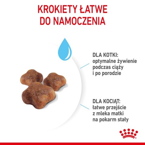 ROYAL CANIN Mother & Babycat 34 2kg ROYAL CANIN Mother & Babycat 34 2kg