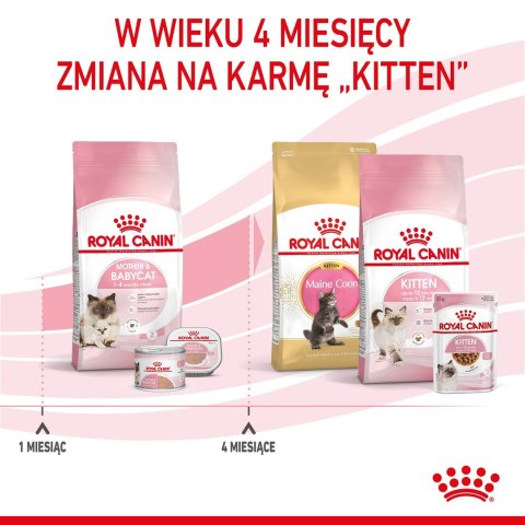 ROYAL CANIN Mother & Babycat 34 2kg ROYAL CANIN Mother & Babycat 34 2kg