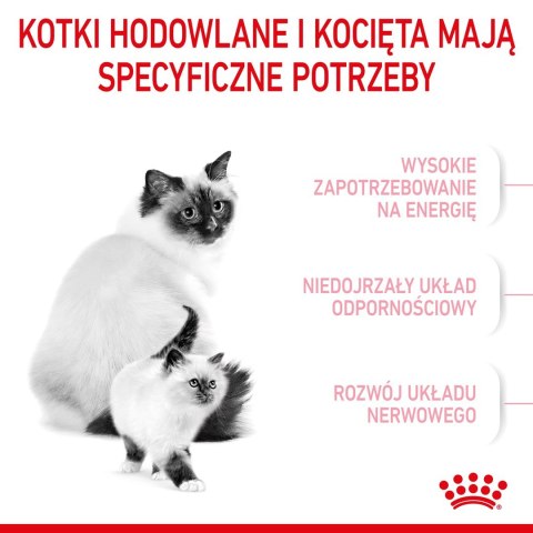 ROYAL CANIN Mother & Babycat 34 2kg ROYAL CANIN Mother & Babycat 34 2kg