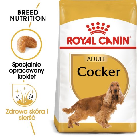 ROYAL CANIN BHN Cocker Adult - sucha karma dla psa dorosłego - 12 kg ROYAL CANIN BHN Cocker Adult - sucha karma dla psa dorosłego - 12 kg