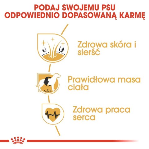 ROYAL CANIN BHN Cocker Adult - sucha karma dla psa dorosłego - 12 kg ROYAL CANIN BHN Cocker Adult - sucha karma dla psa dorosłego - 12 kg
