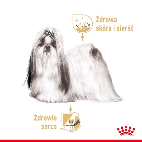ROYAL CANIN BHN Shih Tzu Adult w formie pasztetu - mokra karma dla psa dorosłego - 12x85g ROYAL CANIN BHN Shih Tzu Adult w formie pasztetu - mokra karma dla psa dorosłego - 12x85g
