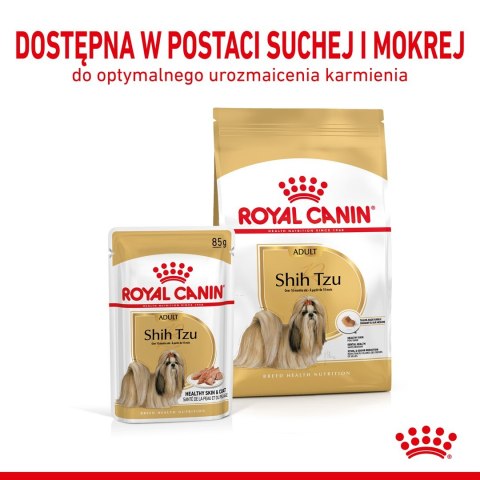 ROYAL CANIN BHN Shih Tzu Adult w formie pasztetu - mokra karma dla psa dorosłego - 12x85g ROYAL CANIN BHN Shih Tzu Adult w formie pasztetu - mokra karma dla psa dorosłego - 12x85g