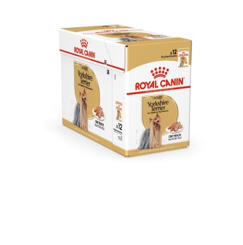 ROYAL CANIN BHN Yorkshire Terrier Adult - mokra karma dla psa dorosłego - 12x85g ROYAL CANIN BHN Yorkshire Terrier Adult - mokra karma dla psa dorosłego - 12x85g