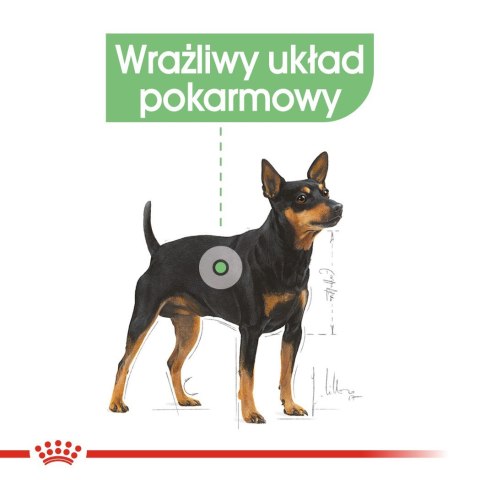 ROYAL CANIN CCN DIGESTIVE CARE LOAF - mokra karma dla psa dorosłego - 12x85g ROYAL CANIN CCN DIGESTIVE CARE LOAF - mokra karma dla psa dorosłego - 12x85g