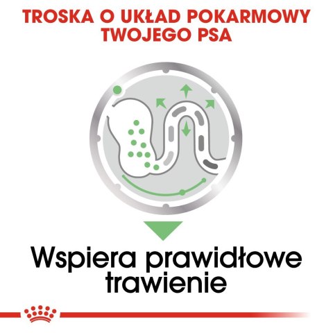 ROYAL CANIN CCN DIGESTIVE CARE LOAF - mokra karma dla psa dorosłego - 12x85g ROYAL CANIN CCN DIGESTIVE CARE LOAF - mokra karma dla psa dorosłego - 12x85g