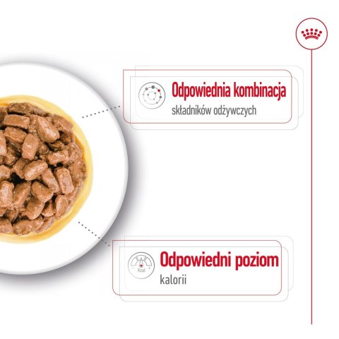 ROYAL CANIN Mini Ageing 12+ - mokra karma dla psa - 12x 85 g ROYAL CANIN Mini Ageing 12+ - mokra karma dla psa - 12x 85 g
