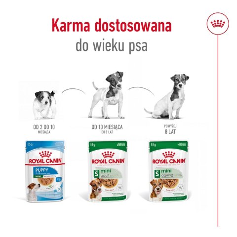 ROYAL CANIN Mini Ageing 12+ - mokra karma dla psa - 12x 85 g ROYAL CANIN Mini Ageing 12+ - mokra karma dla psa - 12x 85 g