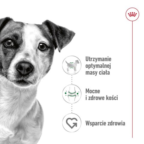ROYAL CANIN SHN Mini Adult w sosie - mokra karma dla psa dorosłego - 12X85g ROYAL CANIN SHN Mini Adult w sosie - mokra karma dla psa dorosłego - 12X85g