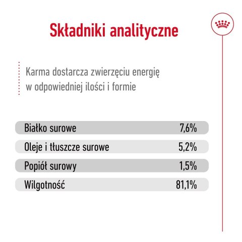 ROYAL CANIN SHN Mini Adult w sosie - mokra karma dla psa dorosłego - 12X85g ROYAL CANIN SHN Mini Adult w sosie - mokra karma dla psa dorosłego - 12X85g