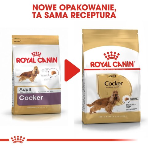 ROYAL CANIN BHN Cocker Adult - sucha karma dla psa dorosłego - 12 kg ROYAL CANIN BHN Cocker Adult - sucha karma dla psa dorosłego - 12 kg