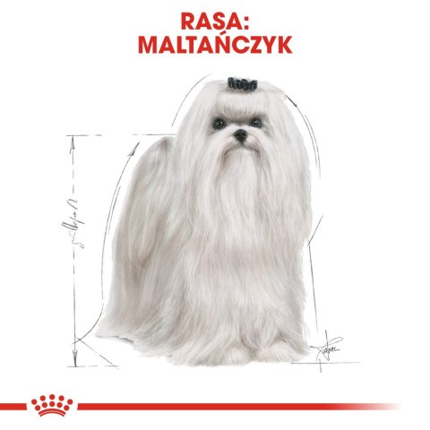 ROYAL CANIN BHN Maltese - sucha karma dla psa - 0,5kg ROYAL CANIN BHN Maltese - sucha karma dla psa - 0,5kg