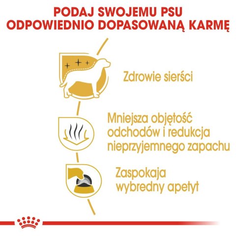 ROYAL CANIN BHN Maltese - sucha karma dla psa - 0,5kg ROYAL CANIN BHN Maltese - sucha karma dla psa - 0,5kg