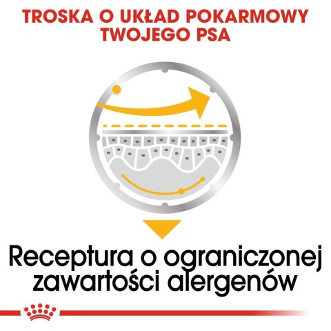 ROYAL CANIN CCN DERMACOMFORT LOAF mokra karma dla psa dorosłego - 12x85g ROYAL CANIN CCN DERMACOMFORT LOAF mokra karma dla psa dorosłego - 12x85g