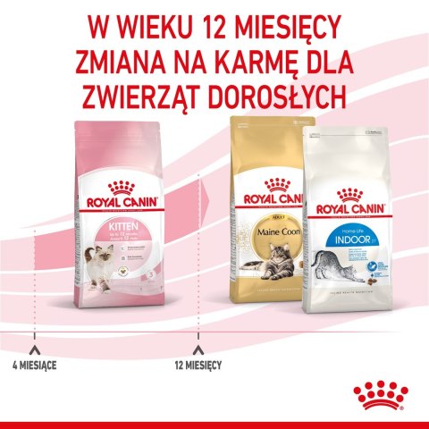 ROYAL CANIN FHN Kitten - sucha karma dla kociąt - 4kg ROYAL CANIN FHN Kitten - sucha karma dla kociąt - 4kg