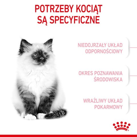 ROYAL CANIN FHN Kitten - sucha karma dla kociąt - 4kg ROYAL CANIN FHN Kitten - sucha karma dla kociąt - 4kg
