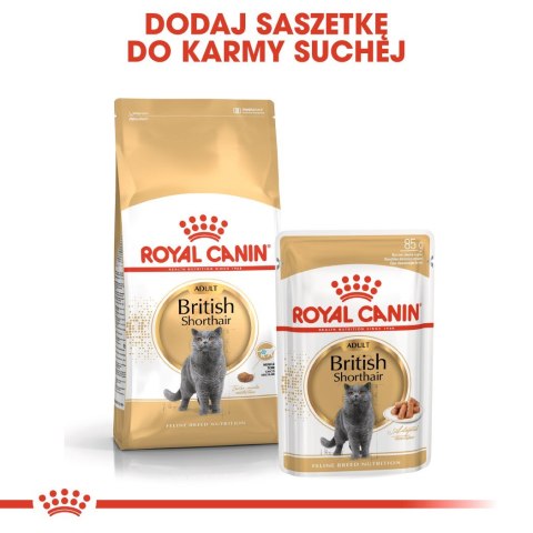 ROYAL CANIN FBN British Shorthair Adult - sucha karma dla dorosłego kota - 10kg ROYAL CANIN FBN British Shorthair Adult - sucha karma dla dorosłego kota - 10kg