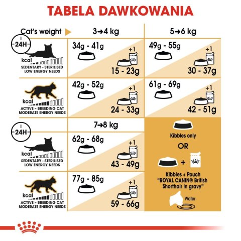 ROYAL CANIN FBN British Shorthair Adult - sucha karma dla dorosłego kota - 10kg ROYAL CANIN FBN British Shorthair Adult - sucha karma dla dorosłego kota - 10kg