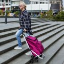 Wózek zakupowy Cruiser Expert Premium 604361