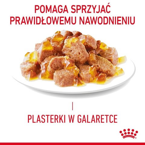 ROYAL CANIN FCN Light Weight Care w galaretce - mokra karma dla kota dorosłego - 12x85g ROYAL CANIN FCN Light Weight Care w galaretce - mokra karma dla kota dorosłego - 12x85g