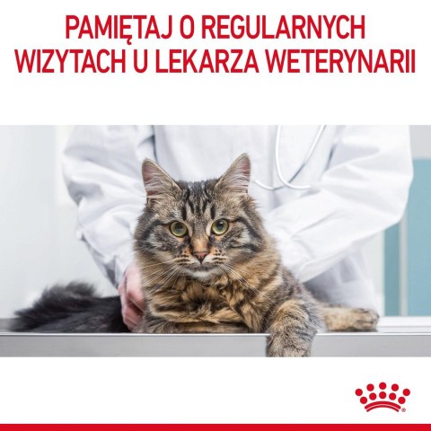 ROYAL CANIN FCN Light Weight Care w galaretce - mokra karma dla kota dorosłego - 12x85g ROYAL CANIN FCN Light Weight Care w galaretce - mokra karma dla kota dorosłego - 12x85g