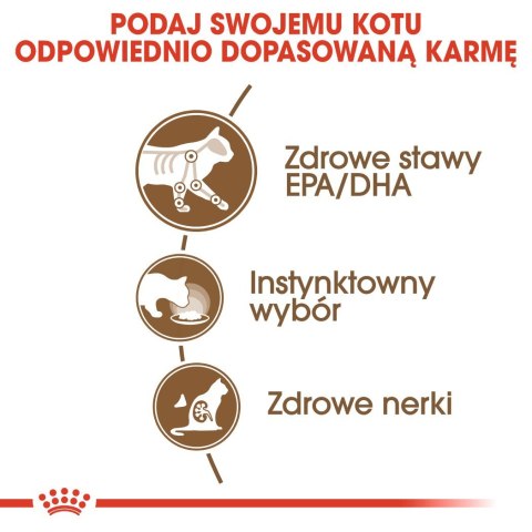 ROYAL CANIN FHN Ageing 12+ w galaretce - mokra karma dla kota starszego - 12x85g ROYAL CANIN FHN Ageing 12+ w galaretce - mokra karma dla kota starszego - 12x85g