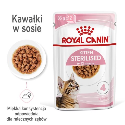 ROYAL CANIN FHN Kitten Sterilised w sosie - mokra karma dla kociąt - 12x85 g ROYAL CANIN FHN Kitten Sterilised w sosie - mokra karma dla kociąt - 12x85 g