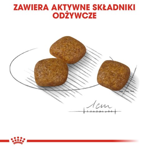 ROYAL CANIN Mini Urinary Care CCN - sucha karma dla psa - 1kg ROYAL CANIN Mini Urinary Care CCN - sucha karma dla psa - 1kg