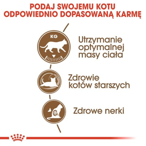 ROYAL CANIN Senior Ageing 12+ Sterilised - sucha karma dla kota - 4 kg ROYAL CANIN Senior Ageing 12+ Sterilised - sucha karma dla kota - 4 kg