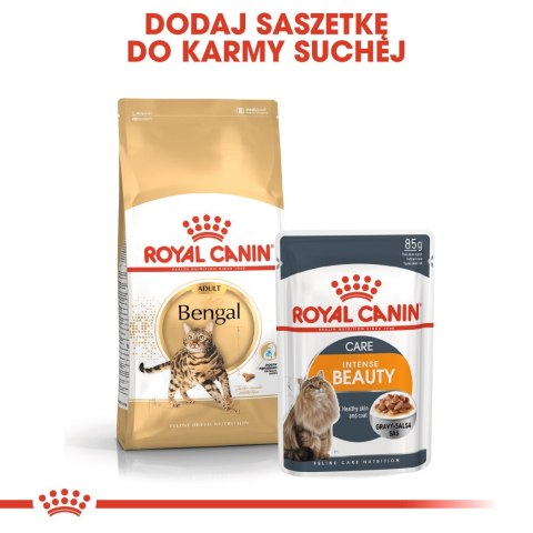ROYAL CANIN Bengal Adult - sucha karma dla dorosłego kota - 10 kg ROYAL CANIN Bengal Adult - sucha karma dla dorosłego kota - 10 kg