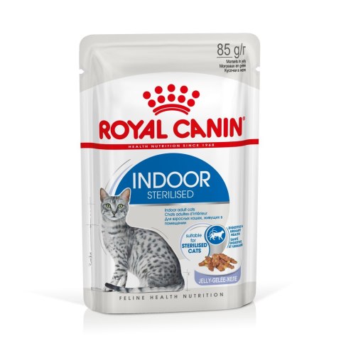 ROYAL CANIN FHN Indoor w galaretce - mokra karma dla kota dorosłego - 12x85 g ROYAL CANIN FHN Indoor w galaretce - mokra karma dla kota dorosłego - 12x85 g