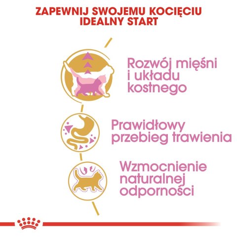 Royal Canin FBN British Shorthair Kitten - sucha karma dla kociąt - 2 kg Royal Canin FBN British Shorthair Kitten - sucha karma dla kociąt - 2 kg