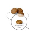 Royal Canin SHN Xsmall Adult 0,5kg