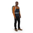 Plecak turystyczny OSPREY Hikelite 26 Pine Leaf Green