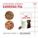 ROYAL CANIN Digestion Adult Dog Supplements 160g