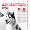 ROYAL CANIN Joint&Ageing Adult Dog Supplements 240g