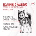 ROYAL CANIN Joint&Ageing Adult Dog Supplements 240g