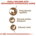 ROYAL CANIN Ageing +12 4kg