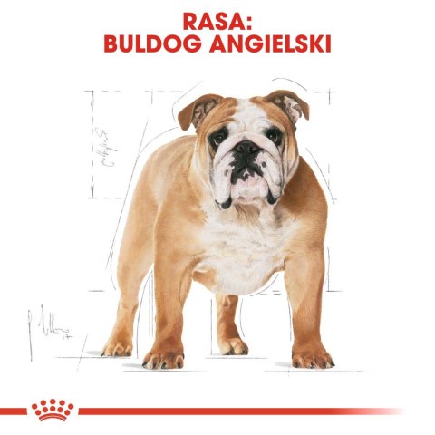 ROYAL CANIN BHN Bulldog Adult - sucha karma dla psa dorosłego rasy bulldog - 12 kg ROYAL CANIN BHN Bulldog Adult - sucha karma dla psa dorosłego rasy bulldog - 12 kg