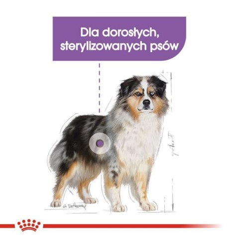 ROYAL CANIN CCN Medium Sterilised Adult - sucha karma dla psa - 12 kg ROYAL CANIN CCN Medium Sterilised Adult - sucha karma dla psa - 12 kg