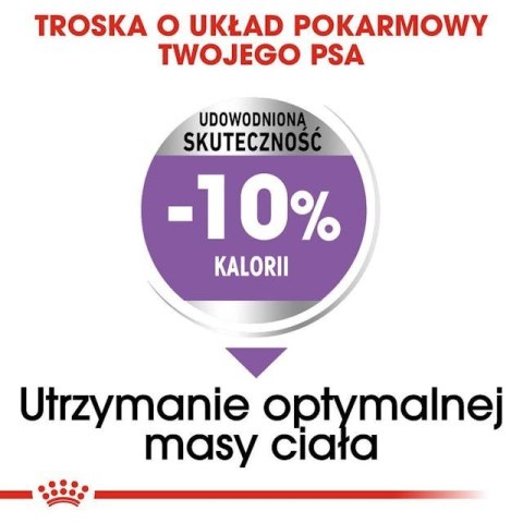 ROYAL CANIN CCN Medium Sterilised Adult - sucha karma dla psa - 12 kg ROYAL CANIN CCN Medium Sterilised Adult - sucha karma dla psa - 12 kg