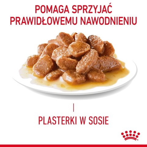 ROYAL CANIN FCN Hairball Care w sosie - mokra karma dla kota dorosłego - 12x85g ROYAL CANIN FCN Hairball Care w sosie - mokra karma dla kota dorosłego - 12x85g