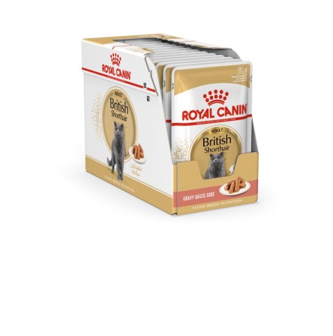 ROYAL CANIN FBN British Shorthair Adult - mokra karma dla dorosłego kota - 12x85g ROYAL CANIN FBN British Shorthair Adult - mokra karma dla dorosłego kota - 12x85g