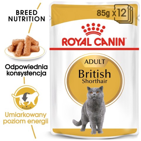 ROYAL CANIN FBN British Shorthair Adult - mokra karma dla dorosłego kota - 12x85g ROYAL CANIN FBN British Shorthair Adult - mokra karma dla dorosłego kota - 12x85g